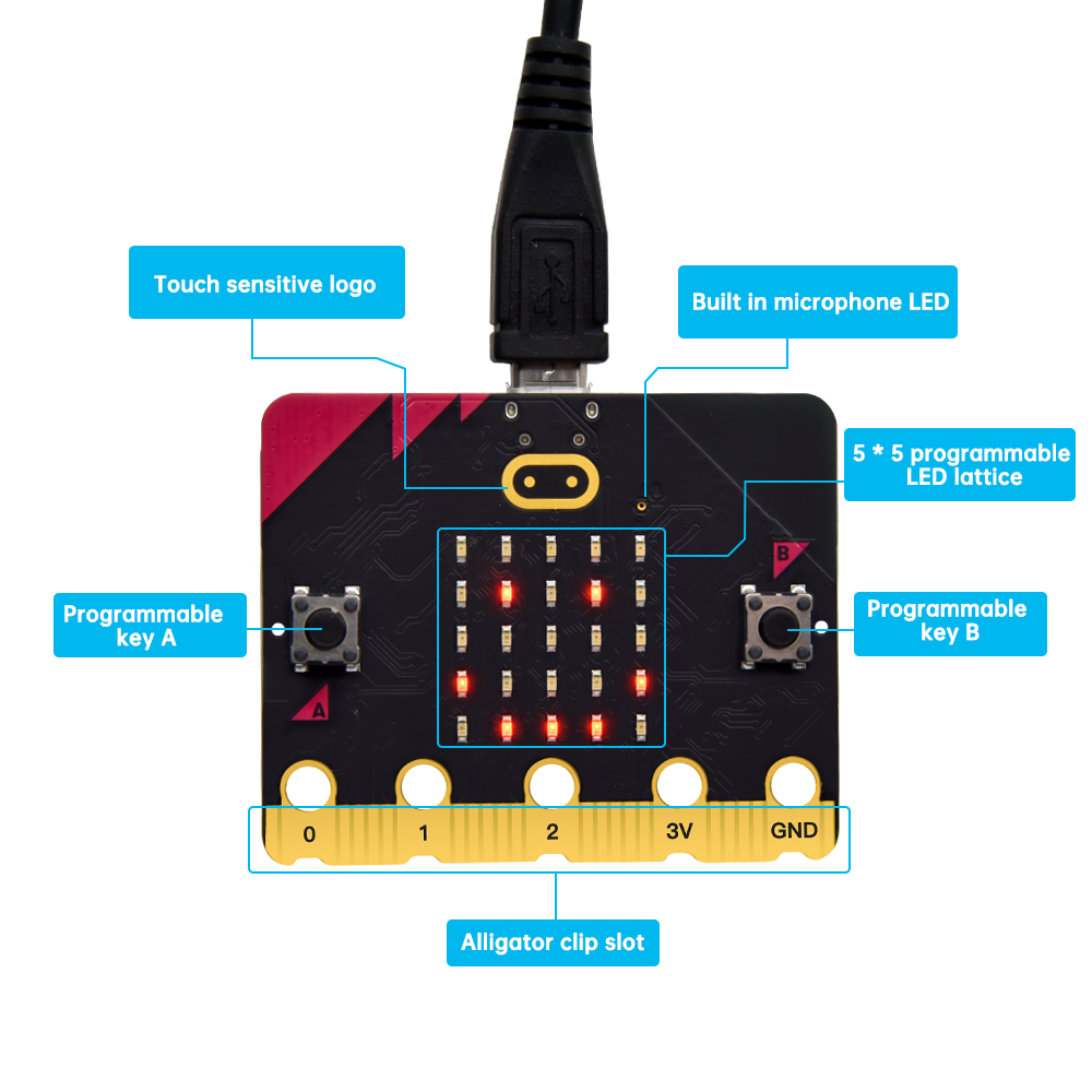 وصل حديثًا! لوحة تطوير مايكرو  - مراجعة Microbit Robot وسعره